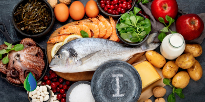 Iodine rich foods laid out on a table, alongside a guide to taking iodine drops