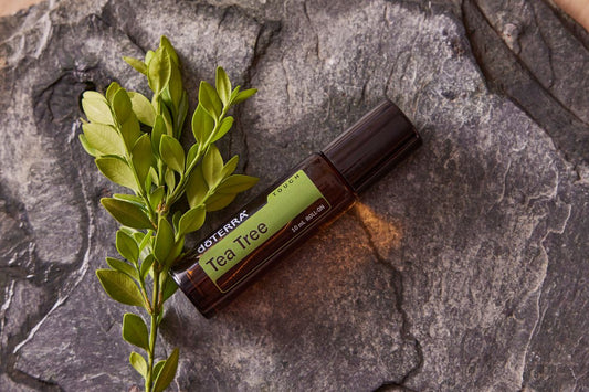 Natural essential oils and home remedy ingredients — 10 toenail fungus remedies ranked by scientific evidence