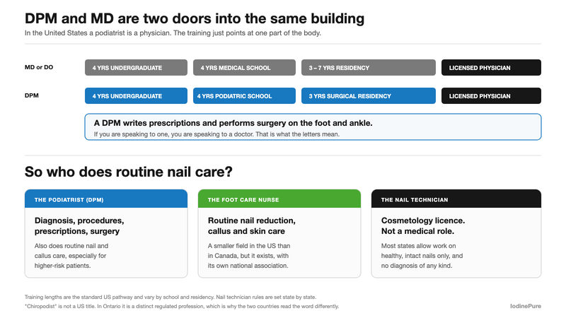 Diagram of the US DPM training path beside the MD path, and who does routine nail care in the United States