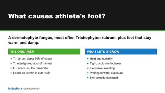 Answer card explaining what causes athlete's foot: the dermatophyte organisms and the conditions that let them grow