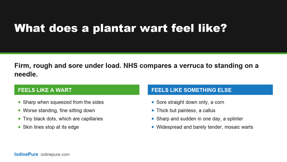 Answer card showing what a plantar wart feels like compared with a corn, a callus and a splinter
